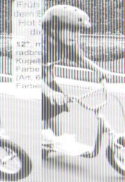 BIKE-Board 12 blau Alter