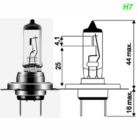 Glühlampe PX26D 12V 55W H7 Halogen