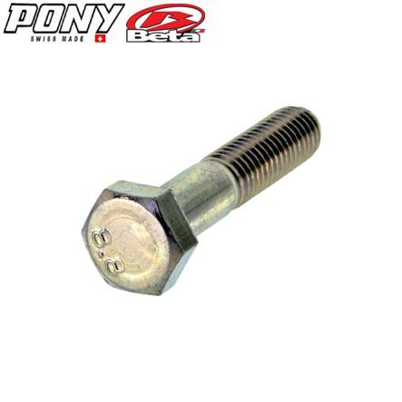 Schraube M10 x 45 mm zu Federbeine Pony Cross