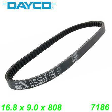 Keilriemen DAYCO 16.8 x 9.0 x 808 (7186) Benelli Honda Malaguti 50cc Peugeot 125cc