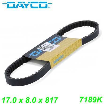 Keilriemen DAYCO 17.0 x 8.0 x 817 (7189K) Piaggio Typhoon 80cc