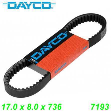 Keilriemen DAYCO 17.0 x 8.0 x 736 (7193) Piaggio SKR City 50cc